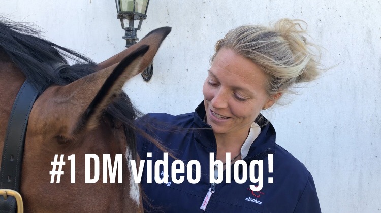 #1 – DM video blog